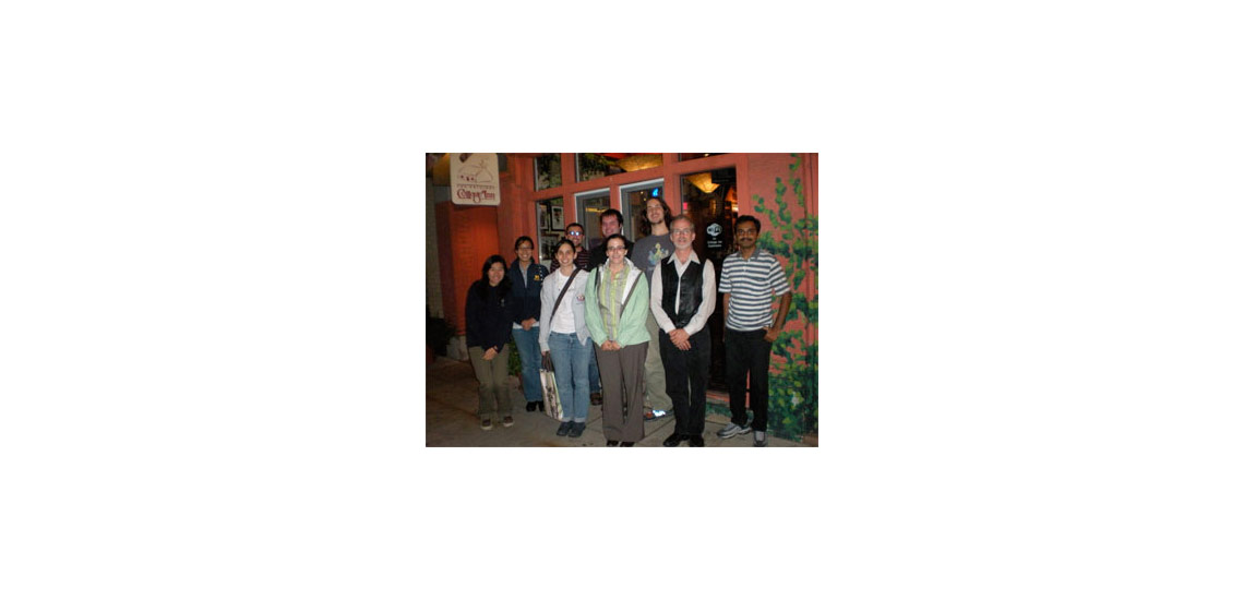 McNeil Group 2008