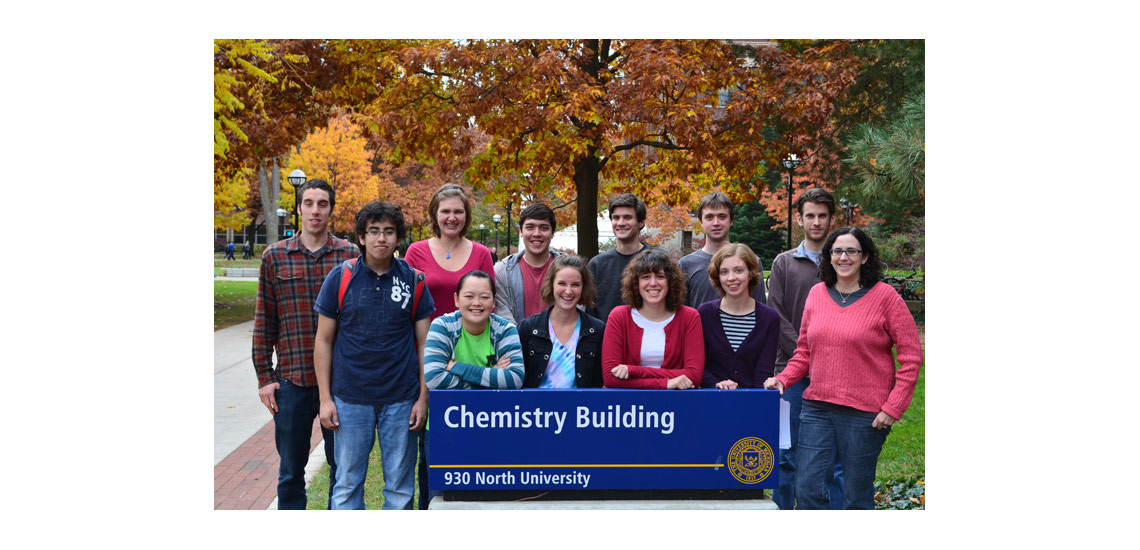 McNeil Group 2012